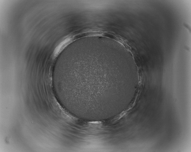 X0000100400053200806131022
