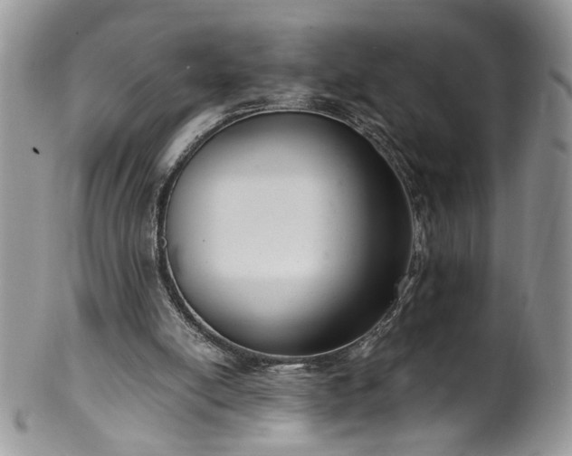 X0000100400054200806131022