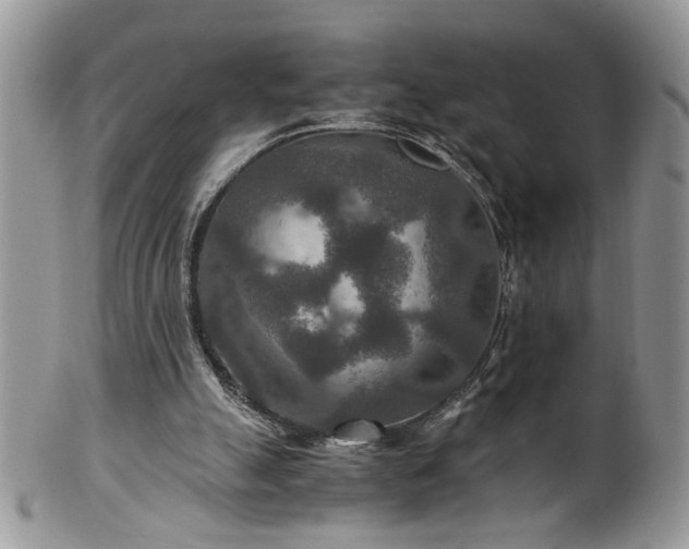 X0000100400055200806131022