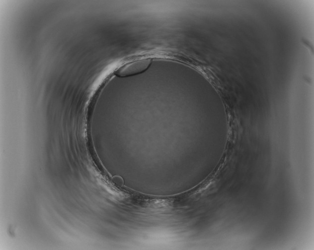 X0000100400056200806131022