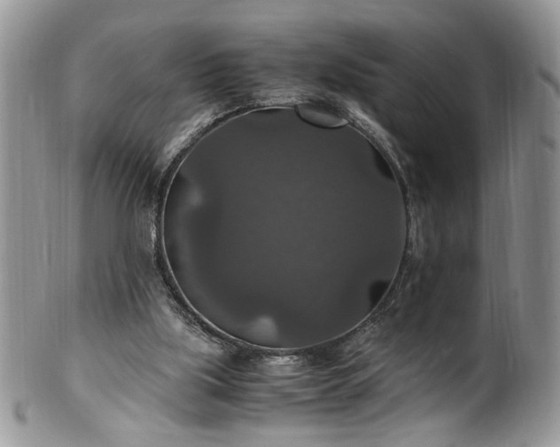 X0000100400059200806131022