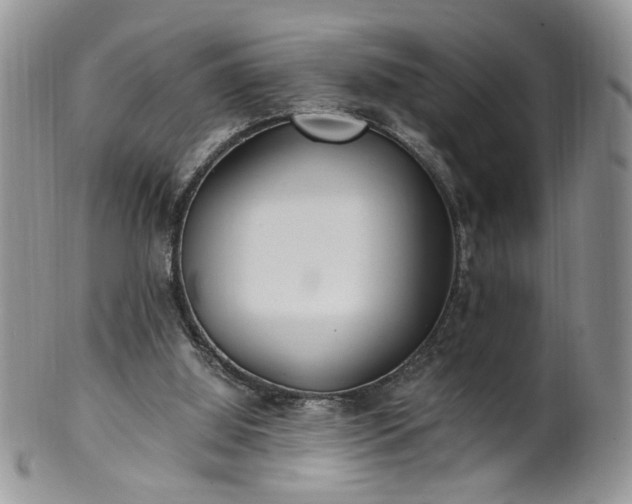X0000100400060200806131022
