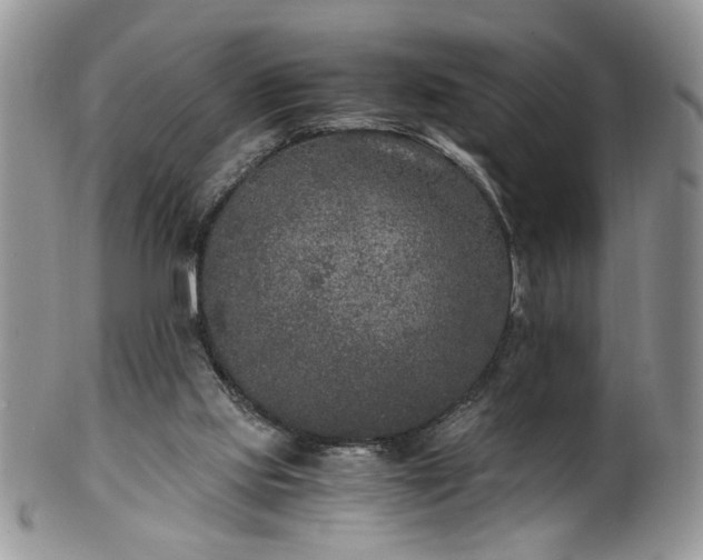 X0000100400061200806131022