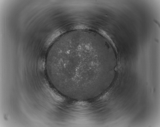 X0000100400063200806131023