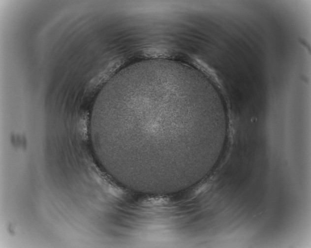 X0000100400065200806131023