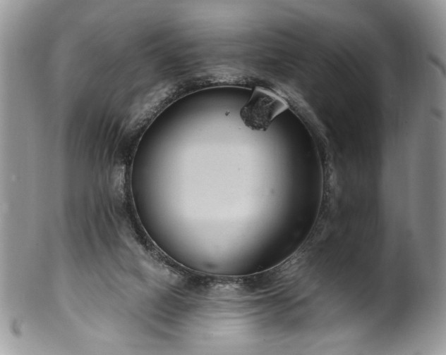 X0000100400066200806131023