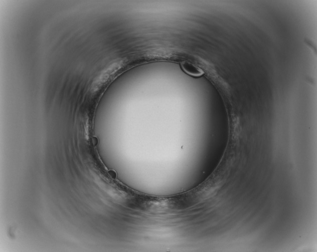 X0000100400068200806131023