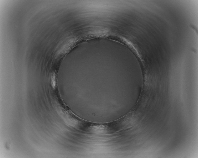 X0000100400069200806131023