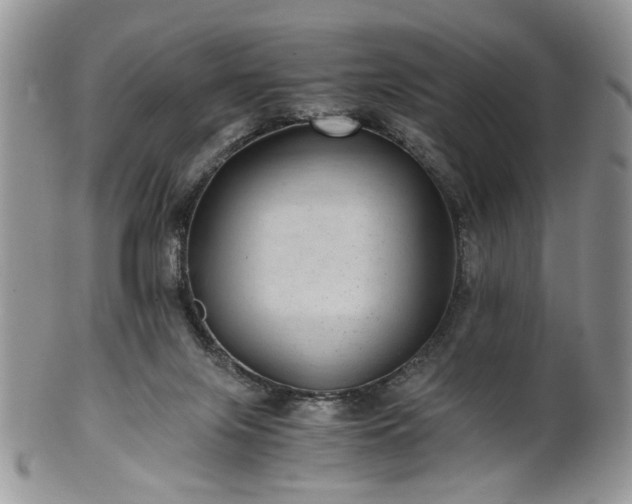 X0000100400071200806131023