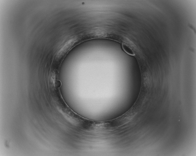 X0000100400072200806131023
