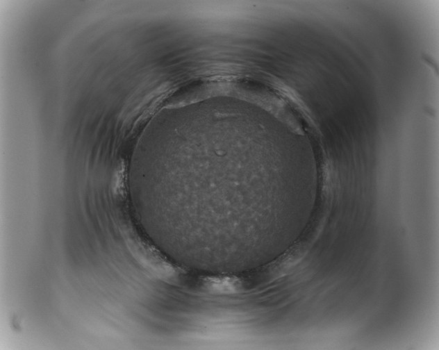 X0000100400073200806131023