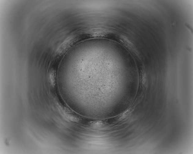 X0000100400074200806131023