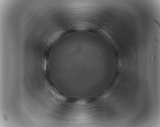 X0000100400076200806131023