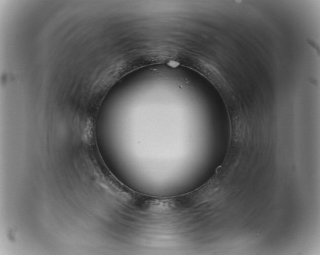 X0000100400077200806131023