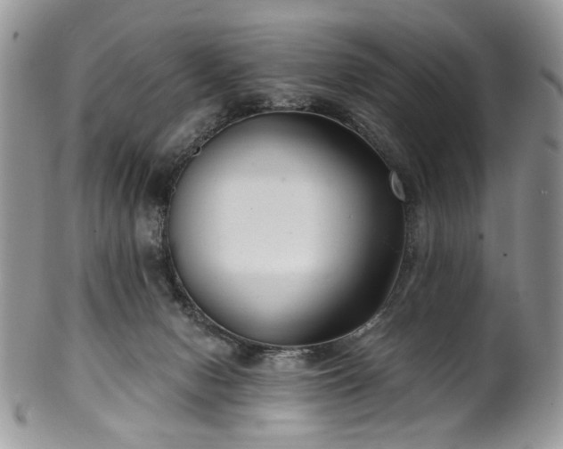 X0000100400078200806131023