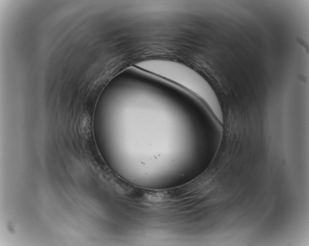X0000100400079200806131023