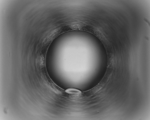 X0000100400081200806131023
