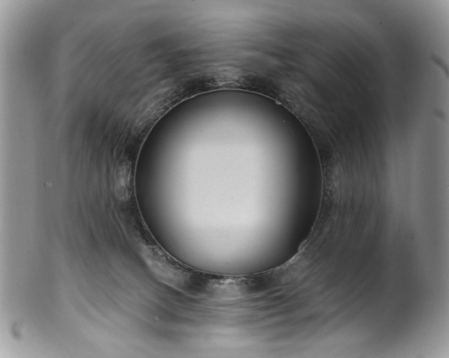 X0000100400082200806131023