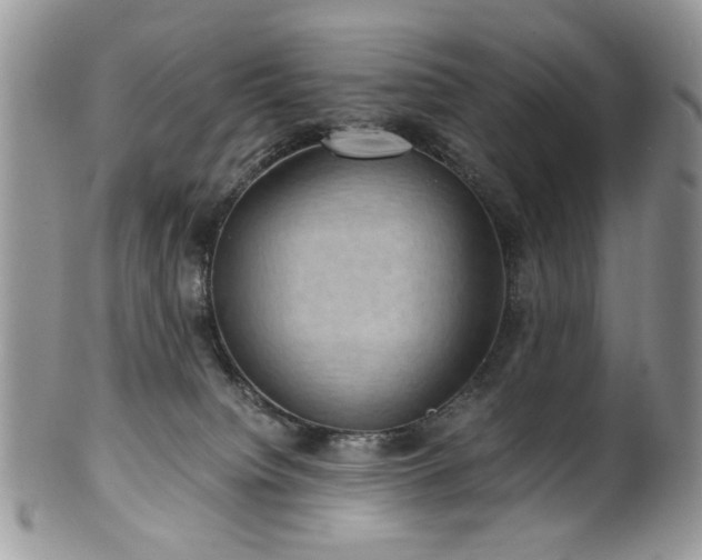 X0000100400084200806131023