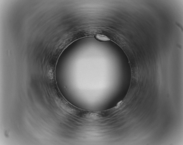 X0000100400086200806131023