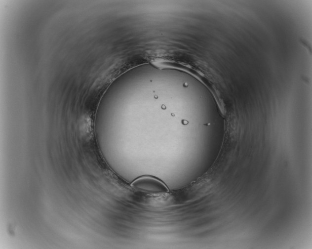 X0000100400087200806131023