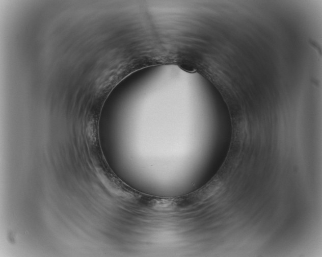 X0000100400088200806131023