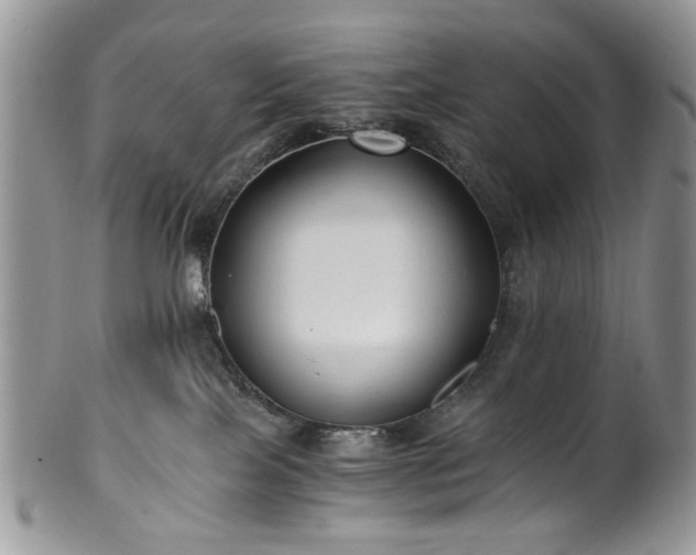 X0000100400089200806131023