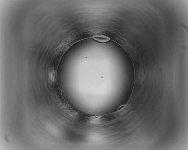 X0000100400090200806131023