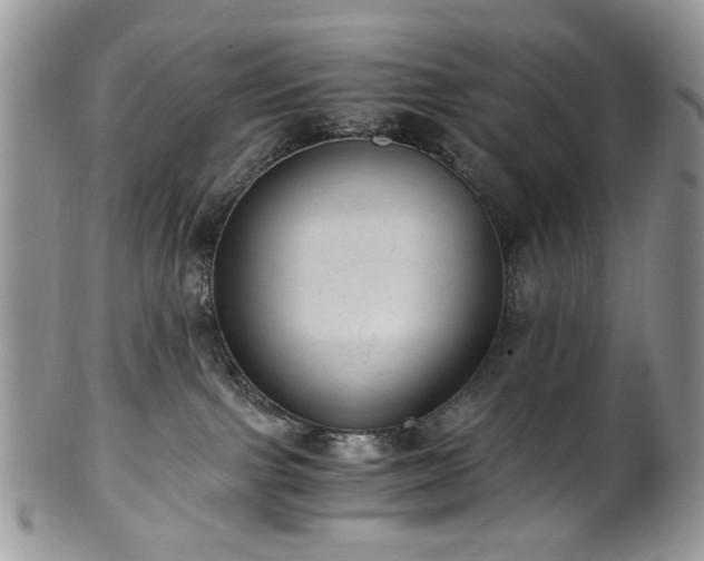 X0000100400091200806131023
