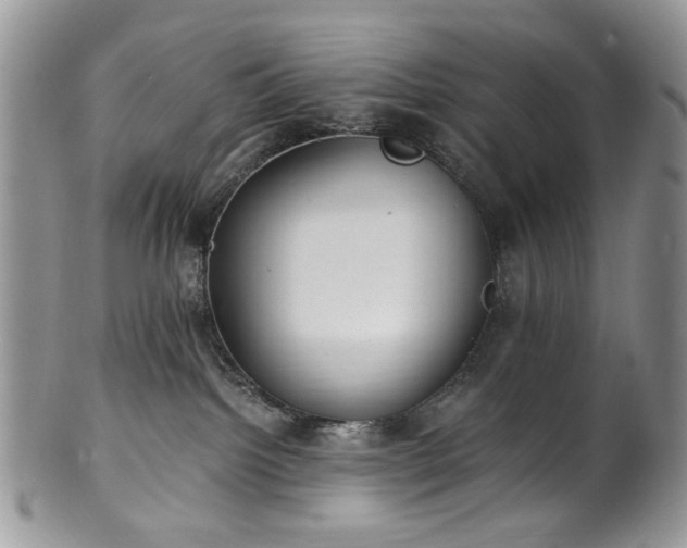 X0000100400092200806131023