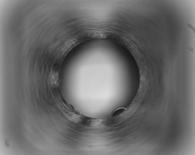 X0000100400096200806131023
