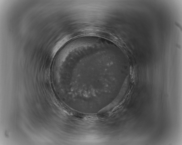X0000100400099200806131022