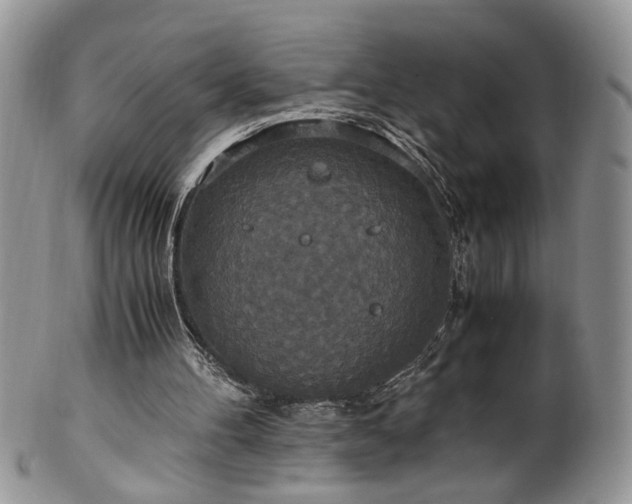 X0000100400100200806131022