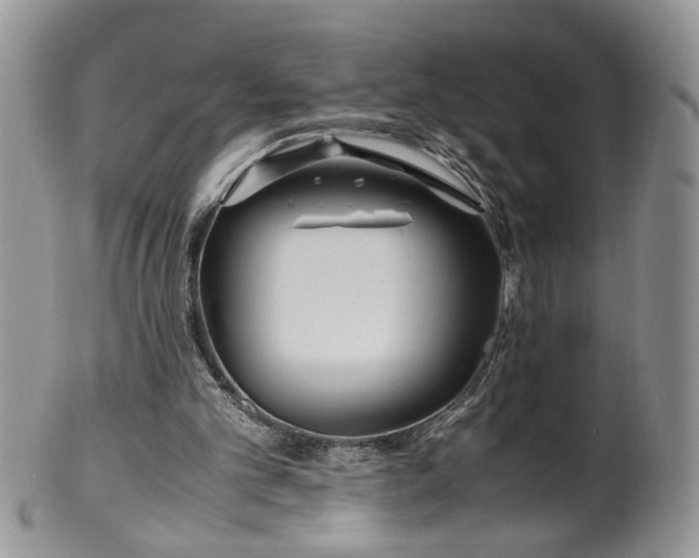 X0000100400101200806131022