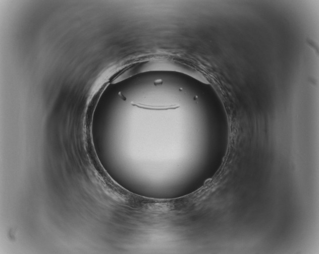 X0000100400102200806131022