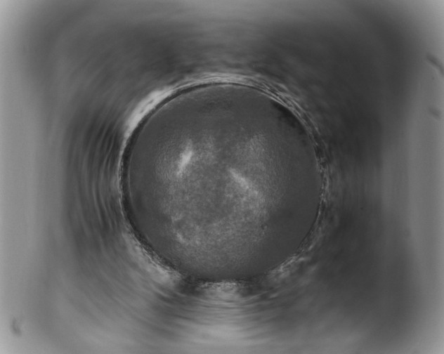 X0000100400104200806131022