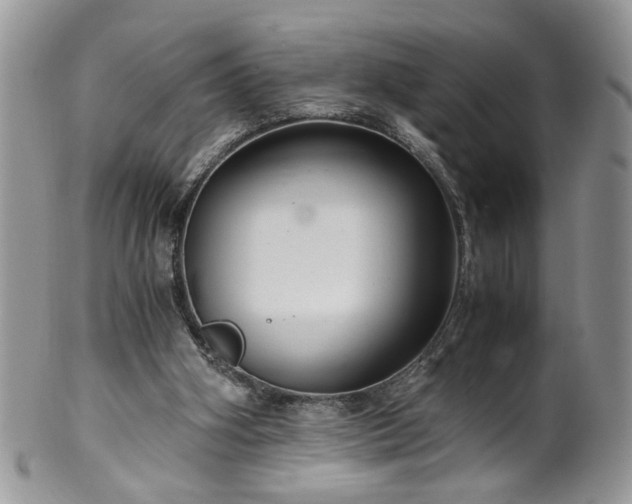 X0000100400106200806131022