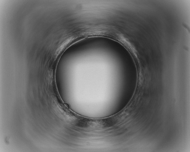 X0000100400107200806131022