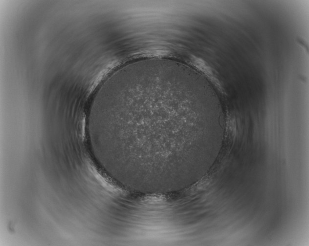 X0000100400110200806131022