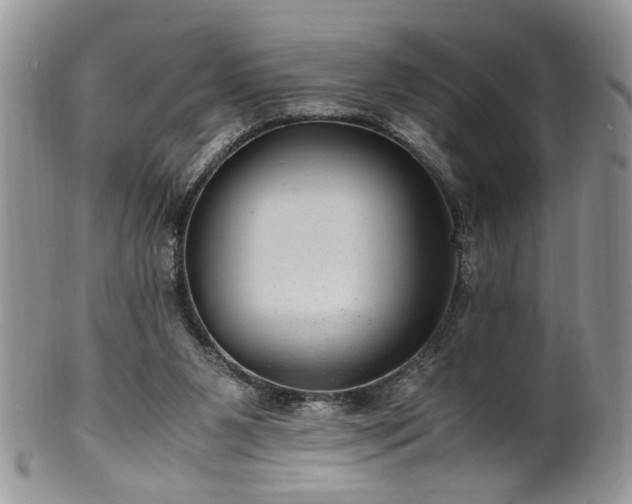X0000100400111200806131022