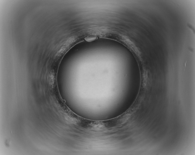 X0000100400113200806131022