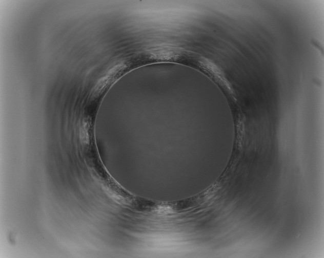 X0000100400114200806131022