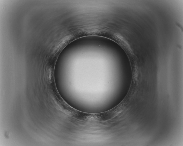 X0000100400115200806131022