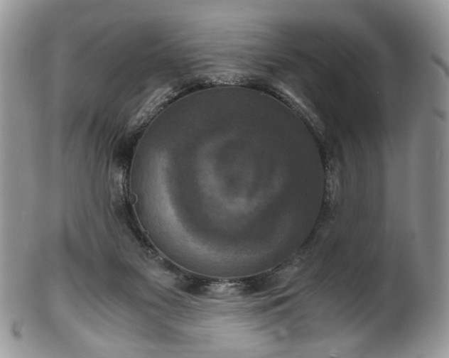 X0000100400117200806131022
