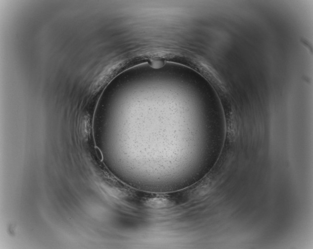 X0000100400119200806131022