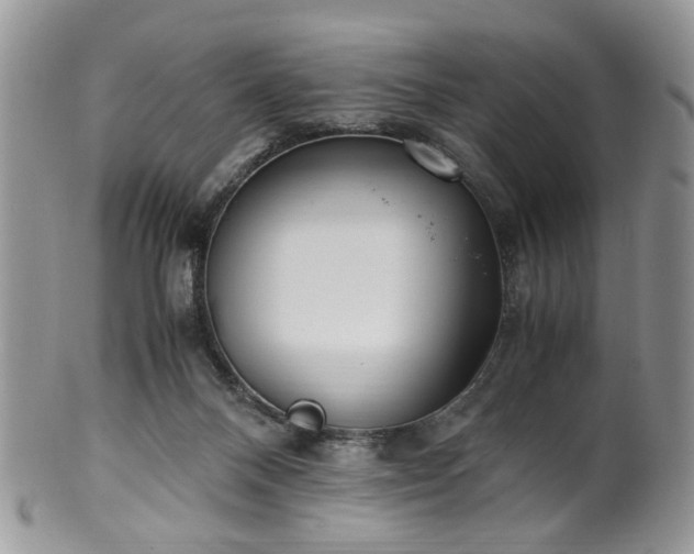 X0000100400120200806131022