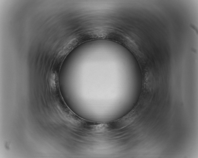 X0000100400122200806131022