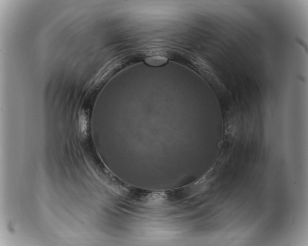 X0000100400124200806131022