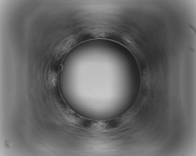 X0000100400125200806131022