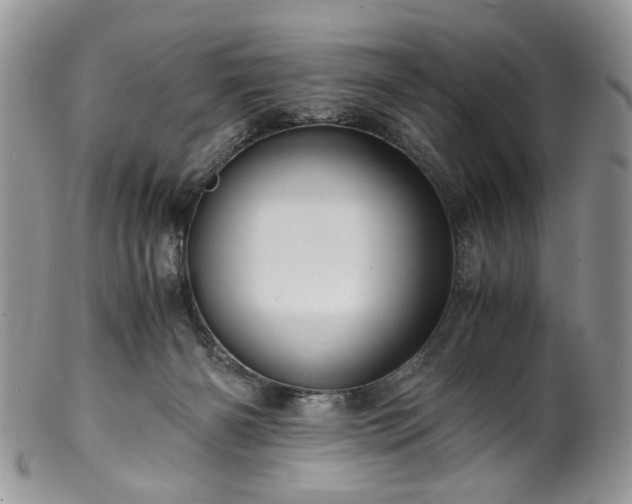 X0000100400126200806131022